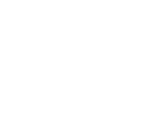 anan digital logo